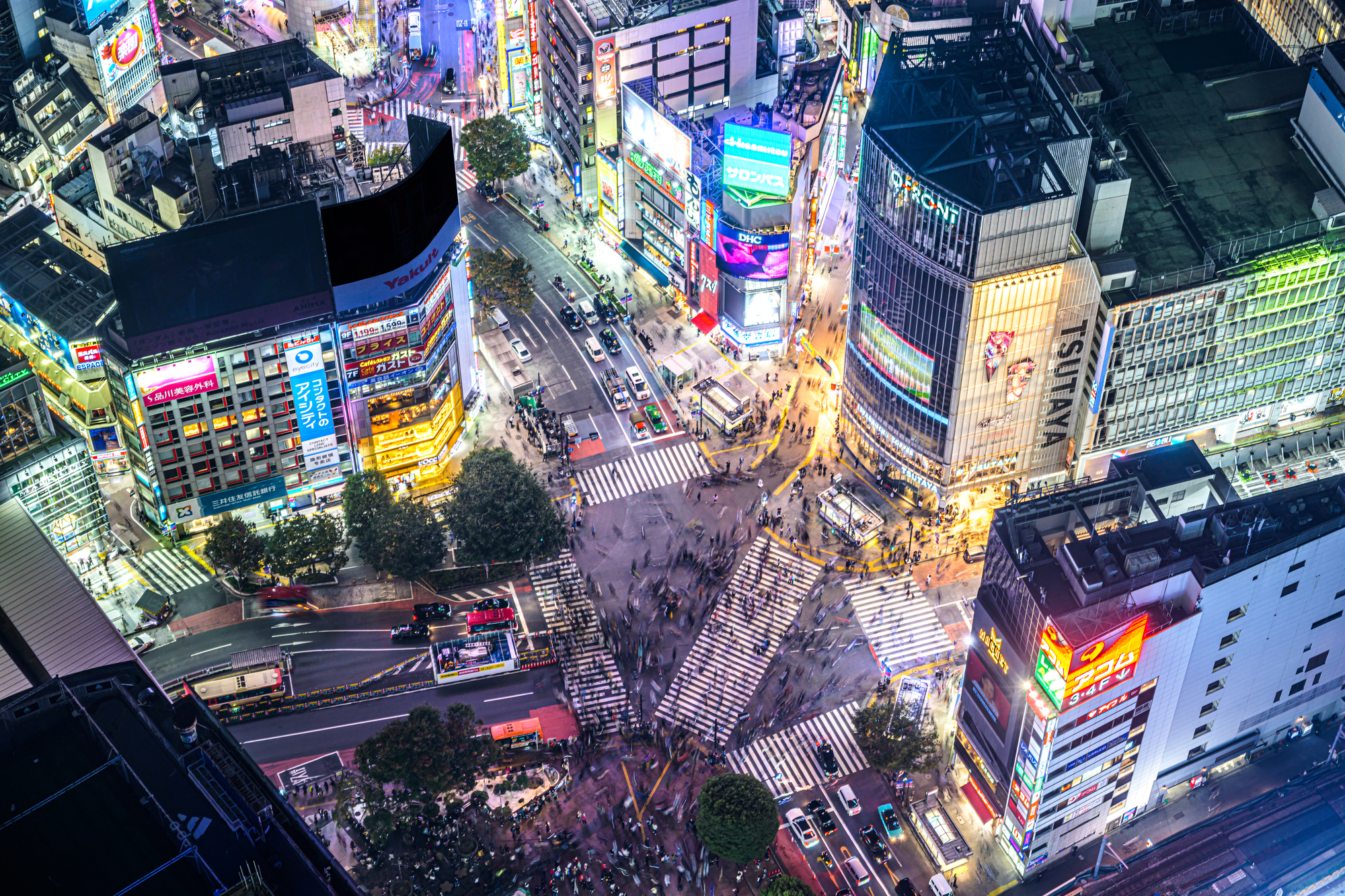 渋谷のクリスマスディナーにおすすめの夜景が綺麗なレストラン5選 Tokyo Class