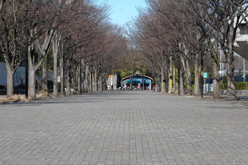 代々木　住みやすさ