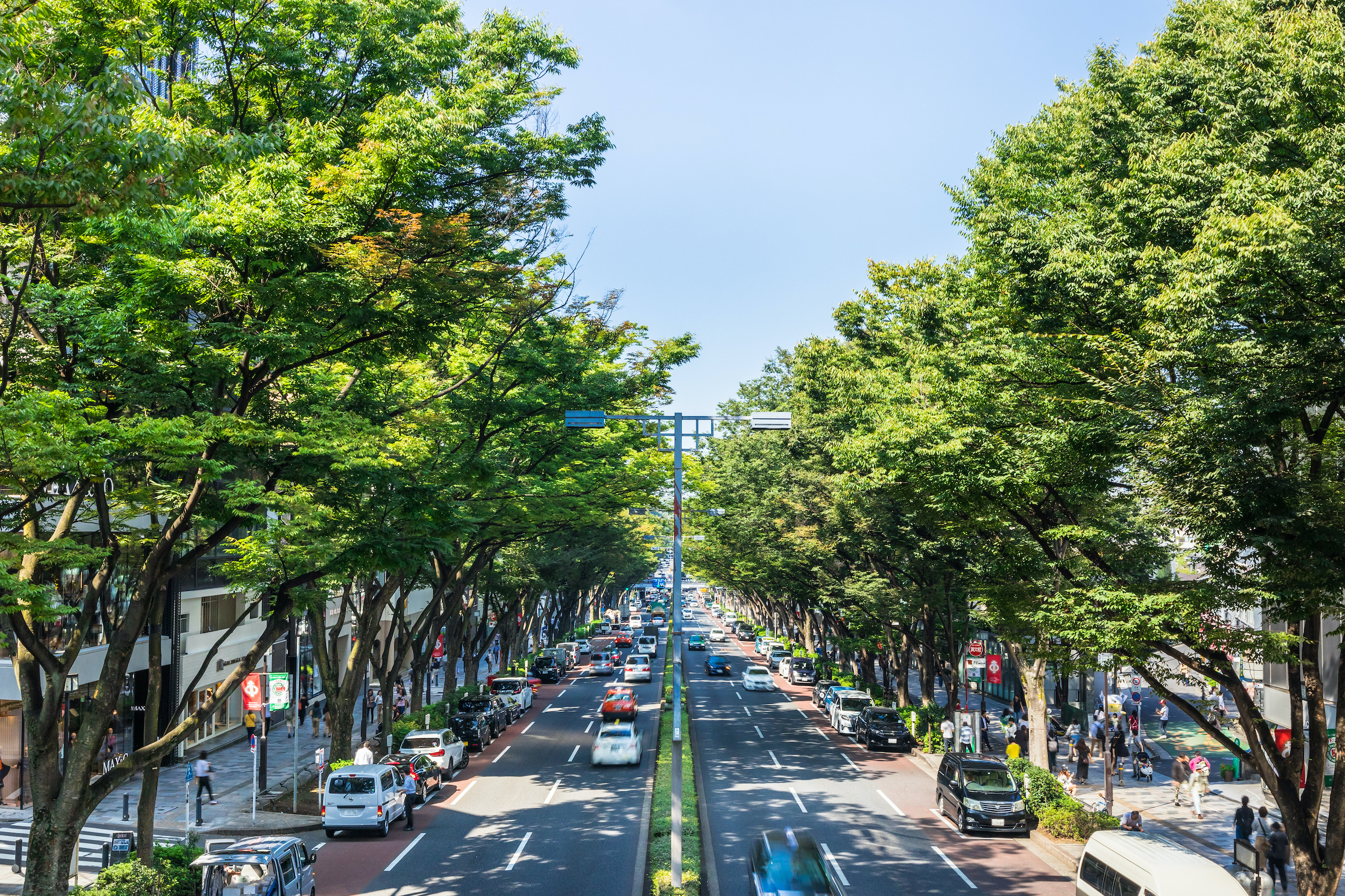 表参道　ランチ