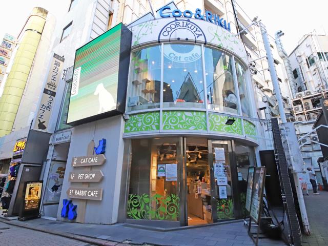 ペットショップCoo&RIKU 渋谷スペイン坂店