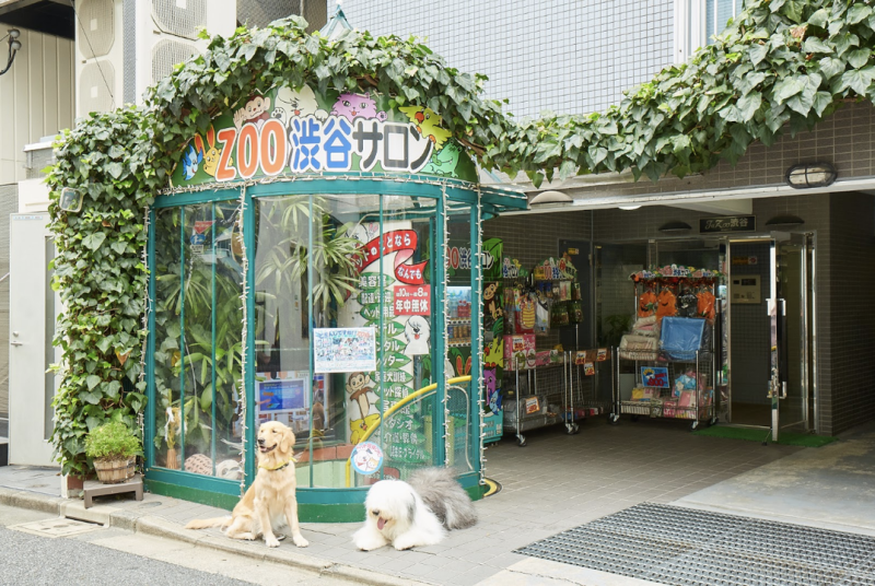 ZOO渋谷サロン