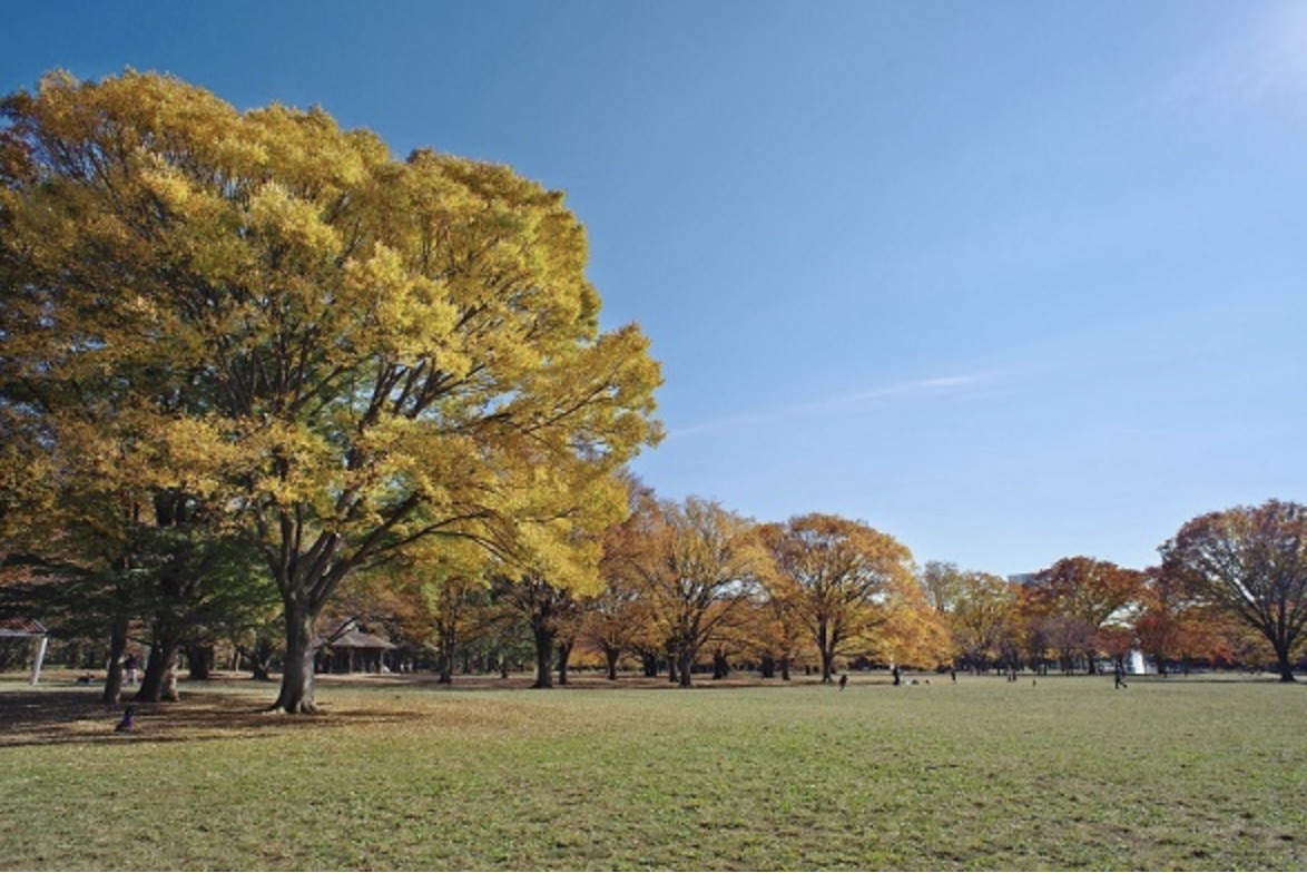 代々木公園